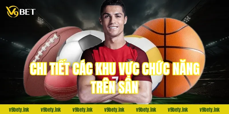 Chi tiết các khu vực chức năng trên sân
