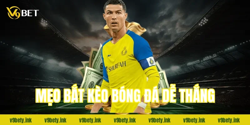 meo bat keo bong da de thang 1030 2