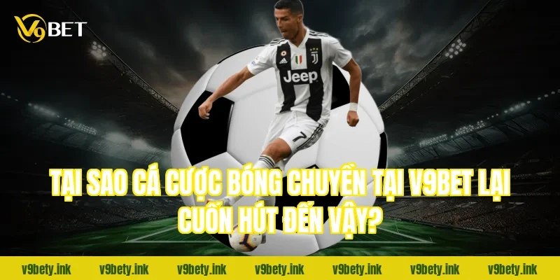 Tại sao cá cược bóng chuyền tại V9BET lại cuốn hút đến vậy?