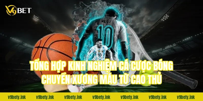 Tổng hợp kinh nghiệm cá cược bóng chuyền xương máu từ cao thủ