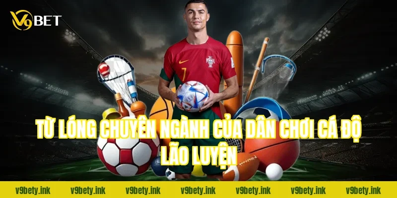 Từ lóng chuyên ngành của dân chơi cá độ lão luyện